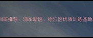 上海少儿乒乓球培训班推荐浦东新区徐汇区优质训练基地及暑假班信息汇总