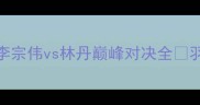 中国男单第一人李宗伟vs林丹巅峰对决全羽坛传奇的荣耀与遗憾