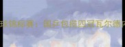 2007年欧洲乒乓球锦标赛国乒包揽四冠瓦尔德内尔封王全纪实