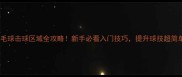 羽毛球击球区域全攻略新手必看入门技巧提升球技超简单