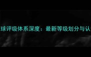 中羽羽毛球评级体系深度最新等级划分与认证全指南
