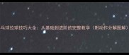 乒乓球拉球技巧大全从基础到进阶的完整教学附动作分解图解