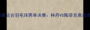2008年北京奥运会羽毛球男单决赛林丹VS陶菲克奥运史经典对决