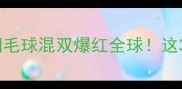 韩国混双夺冠秘籍里约奥运会羽毛球混双爆红全球这3个训练技巧让你速成冠军搭档