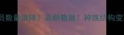 NBA白人球员数量骤降最新数据种族结构变革背后的真相
