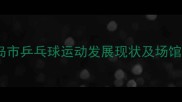 秦皇岛市乒乓球运动发展现状及场馆指南