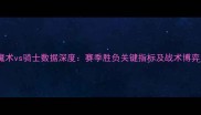 魔术vs骑士数据深度赛季胜负关键指标及战术博弈