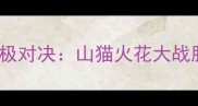 NBA夏洛特黄蜂vs卡尔加里火焰终极对决山猫火花大战胜负天平如何倾斜深度战术分析
