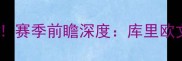 猛龙队vs骑士队赛季终极对决赛季前瞻深度库里欧文巅峰碰撞谁将主宰东部