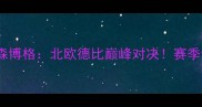 瓦勒伦vs罗森博格北欧德比巅峰对决赛季谁能问鼎