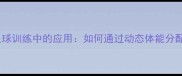 科学轮换训练法在足球训练中的应用如何通过动态体能分配提升球队竞技状态