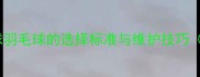 专业比赛用球羽毛球的选择标准与维护技巧附选购指南
