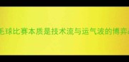 羽毛球比赛本质是技术流与运气波的博弈战