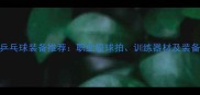 40款乒乓球装备推荐职业级球拍训练器材及装备指南