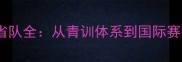 陕西省乒乓球省队全从青训体系到国际赛事的崛起之路