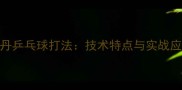 林丹乒乓球打法技术特点与实战应用