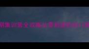 羽毛球暑期集训营全攻略从零到进阶的12周蜕变计划