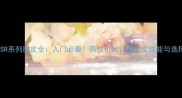 乒乓球SR系列胶皮全入门必看高性价比训练胶皮性能与选择攻略