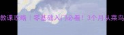 张军苏州羽毛球私教课攻略零基础入门必看3个月从菜鸟变社牛的私教课全