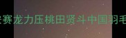 中国VS印尼巅峰对决安赛龙力压桃田贤斗中国羽毛球队印尼赛高能全记录