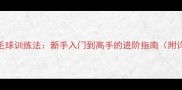 三段式羽毛球训练法新手入门到高手的进阶指南附详细动作
