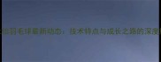 王祉怡羽毛球最新动态技术特点与成长之路的深度解读