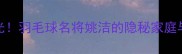 姚洁丈夫身份曝光羽毛球名将姚洁的隐秘家庭与丈夫的非凡成就