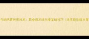 乒乓球吧黄老邪技术职业级发球与接发球技巧含实战训练方案