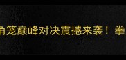 康纳麦格雷戈VS梅赛德斯八角笼巅峰对决震撼来袭拳王争霸赛终极预判与历史级战役