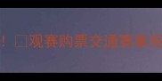 沈阳奥体足球赛全攻略观赛购票交通赛事亮点一网打尽