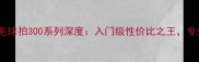红双喜羽毛球拍300系列深度入门级性价比之王专业性能全