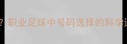 前腰球员穿几号职业足球中号码选择的科学逻辑与实战案例