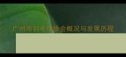 广州市羽毛球协会概况与发展历程
