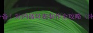 乒乓球团队训练必备对内循环表制作全攻略附可直接下载模板