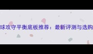 乒乓球攻守平衡底板推荐最新评测与选购指南