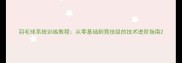 羽毛球系统训练教程从零基础到竞技级的技术进阶指南