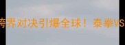 安迪苏瓦VS董文飞跨界对决引爆全球泰拳VS综合格斗谁将封神