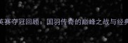 林丹全英赛夺冠回顾国羽传奇的巅峰之战与经典瞬间全