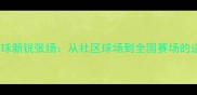 北京羽毛球新锐张扬从社区球场到全国赛场的逆袭之路