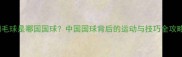 羽毛球是哪国国球中国国球背后的运动与技巧全攻略