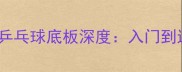 最新测评STFL乒乓球底板深度入门到进阶必看选购指南