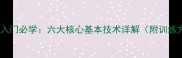 乒乓球入门必学六大核心基本技术详解附训练方法