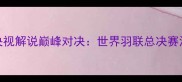 西班牙羽毛球央视解说巅峰对决世界羽联总决赛深度与赛事前瞻