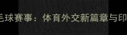 印尼总统佐科威兹观赛羽毛球赛事体育外交新篇章与印尼羽毛球运动发展启示录