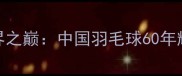 从零到世界之巅中国羽毛球60年辉煌发展史