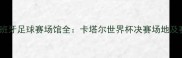 伊朗VS西班牙足球赛场馆全卡塔尔世界杯决赛场地及赛事看点