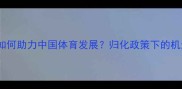 归化球员如何助力中国体育发展归化政策下的机遇与挑战