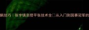 乒乓球狂飙技巧张宇镇亲授平张技术全从入门到国赛冠军的蜕变之路