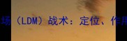 足球低落球中场LDM战术定位作用与实战案例