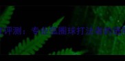 马琳同款底板深度评测专业弧圈球打法者的进阶装备与选购指南